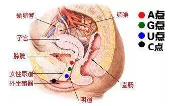 A点在多少厘米处