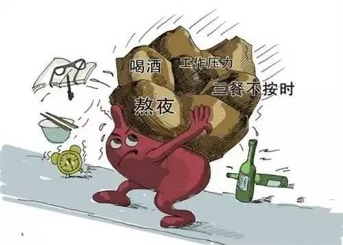 肠紊乱是什么原因造成的