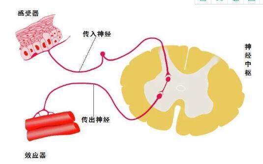 女生如何获得性膏潮