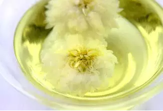 黄山贡菊能长期喝吗