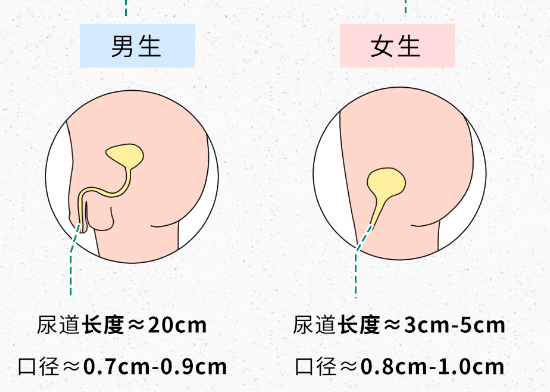 没性生活也会得妇科病？可能是夏天干了这件事！