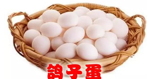 鸽子蛋的营养价值比鸡蛋高吗