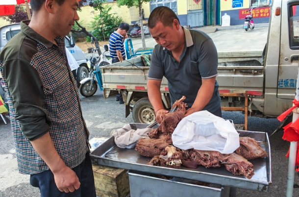 老公吃了狗肉更厉害了是怎么回事