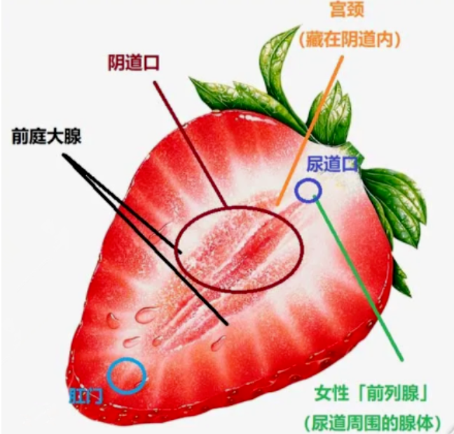 男朋友进去太深什么感觉