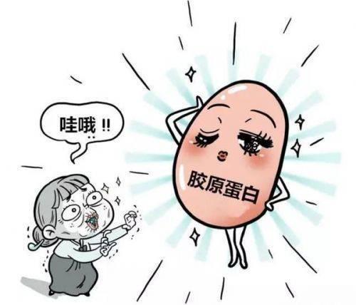 胶原蛋白流失会导致什么问题