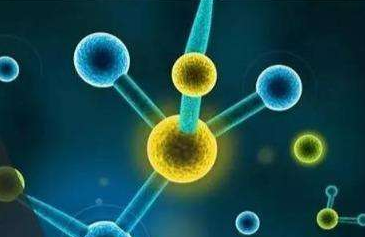小分子肽对人体有什么作用和效果