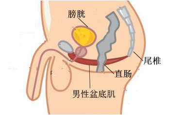 男生之前时间长突然时间变短