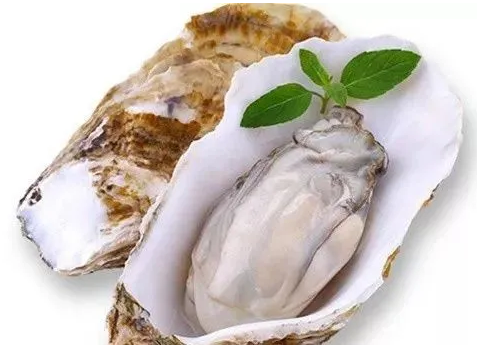牡蛎肽粉的功效与副作用