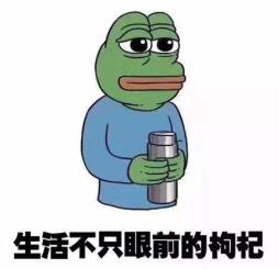 枸杞怎么喝效果最好