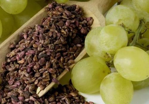 葡萄籽中含有哪些重要的提取物