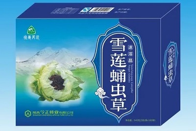 雪莲虫草合剂怎么冲泡