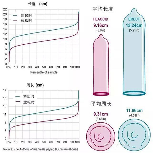 正常男人小弟弟的一般标准是多长多粗