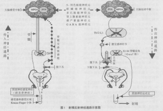 男朋友太久了扛不住怎么办