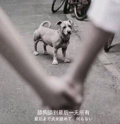 被男人㖭是什么感觉