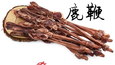 鹿鞭大根片能吃吗,吃了有什么效果什么效果