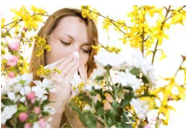 花粉过敏怎么办才最有效 