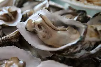 男人吃牡蛎粉的功效与作用